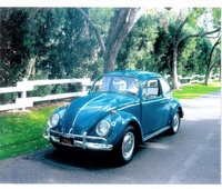 1966 Volkswagen Beetle Overview 1966 Volkswagen Beetle Overview