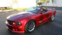 Mustang Mustang
