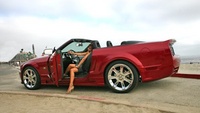 Mustang Mustang
