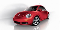 Beetle Beetle