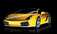 Gallardo Gallardo