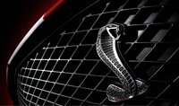 Shelby GT500 Shelby GT500