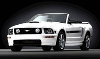 Mustang Mustang