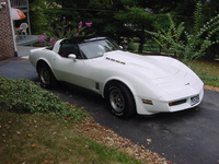 1981 Chevrolet Corvette Overview 1981 Chevrolet Corvette Overview