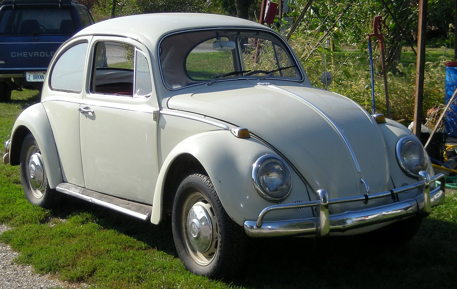1966 Volkswagen Beetle  Pictures  CarGurus