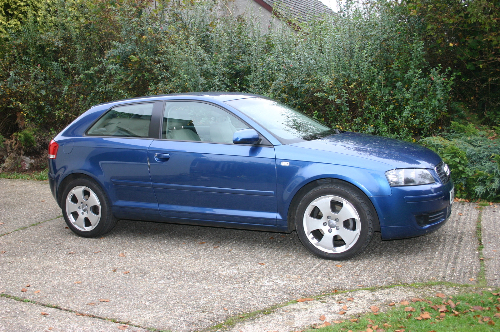 2003 Audi A3 Pictures Cargurus