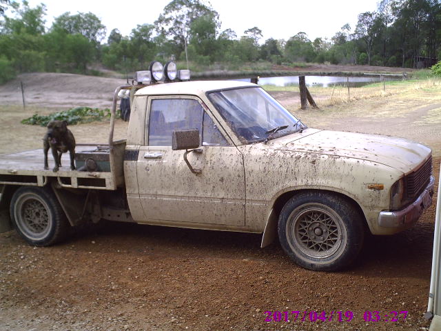 1981 toyota hilux #1