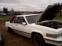 1982 Ford Thunderbird Overview 1982 Ford Thunderbird Overview