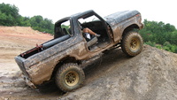 Bronco Bronco
