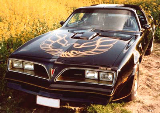 1977 Pontiac Firebird picture