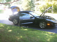 Firebird Firebird