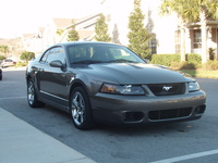 Mustang SVT Cobra Mustang SVT Cobra