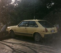 Tercel Tercel