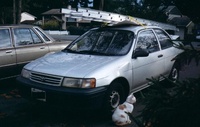 Tercel Tercel
