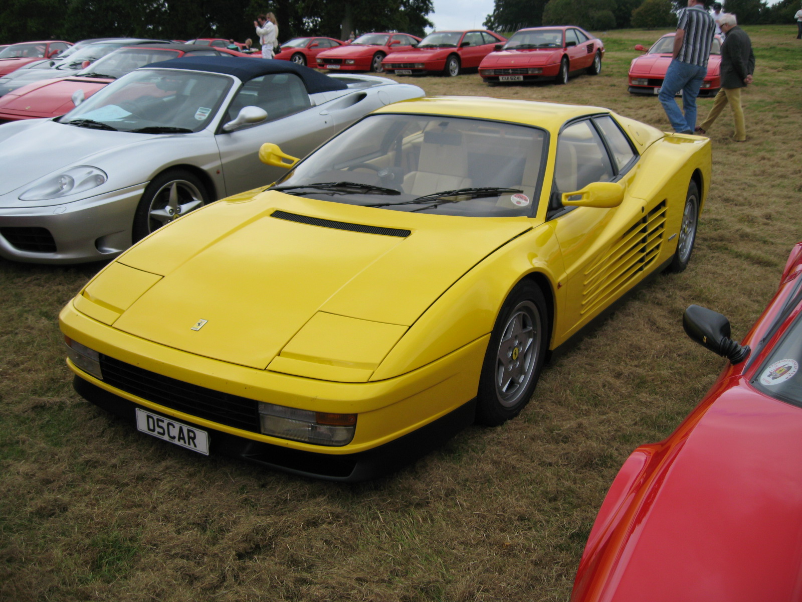 testarossa 1984