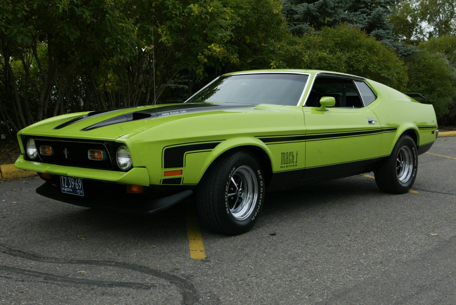 We Love Ford's, Past, Present And Future.: 1972 Ford Mustangs