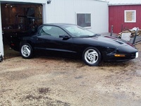 Firebird Firebird