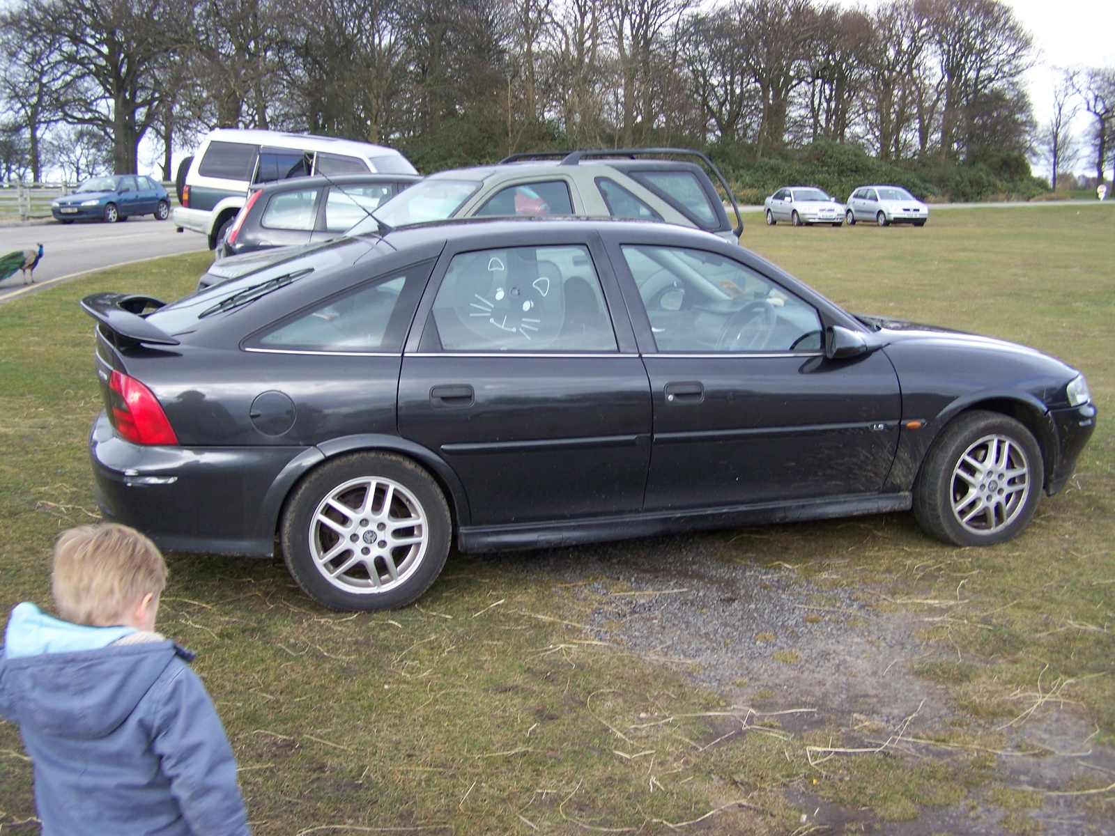 2002 Vauxhall Vectra - Pictures - CarGurus