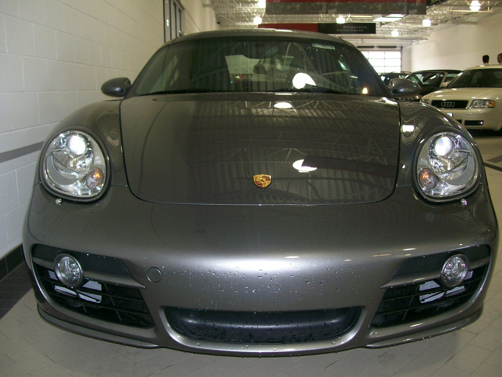 2008 Porsche Cayman - Pictures - 2008 Porsche Cayman S picture ...