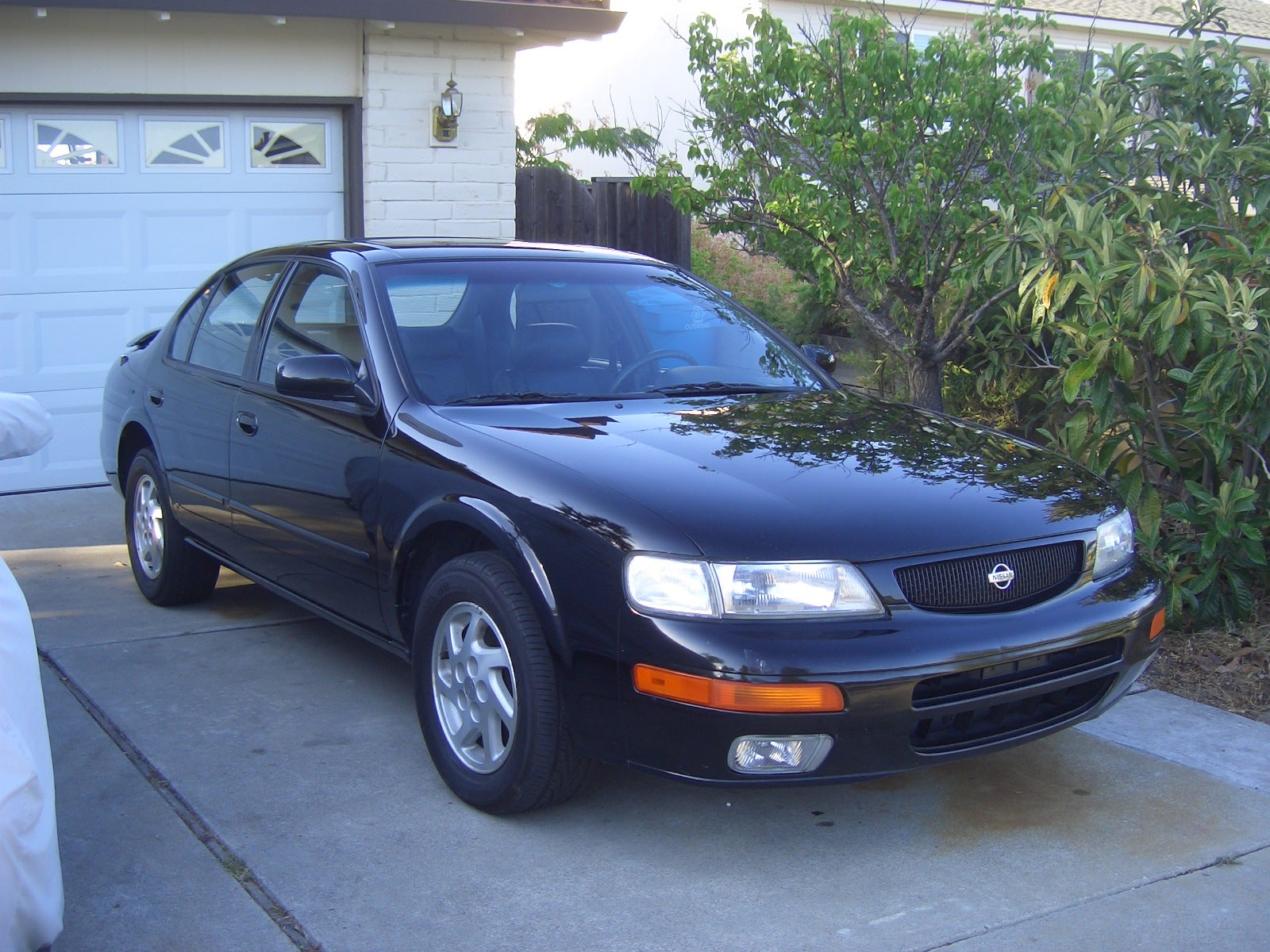 Picture of the 1996 nissan maxima #6