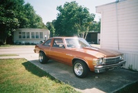 Skylark Skylark