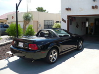 Mustang SVT Cobra Mustang SVT Cobra