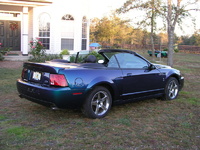 Mustang SVT Cobra Mustang SVT Cobra
