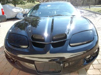 Firebird Firebird