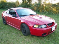 Mustang SVT Cobra Mustang SVT Cobra
