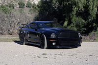 Mustang SVT Cobra Mustang SVT Cobra