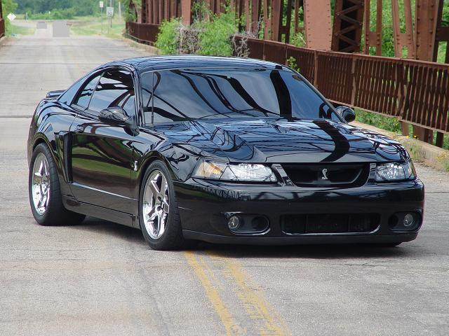 mustang burnout cobra