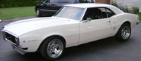 Firebird Firebird