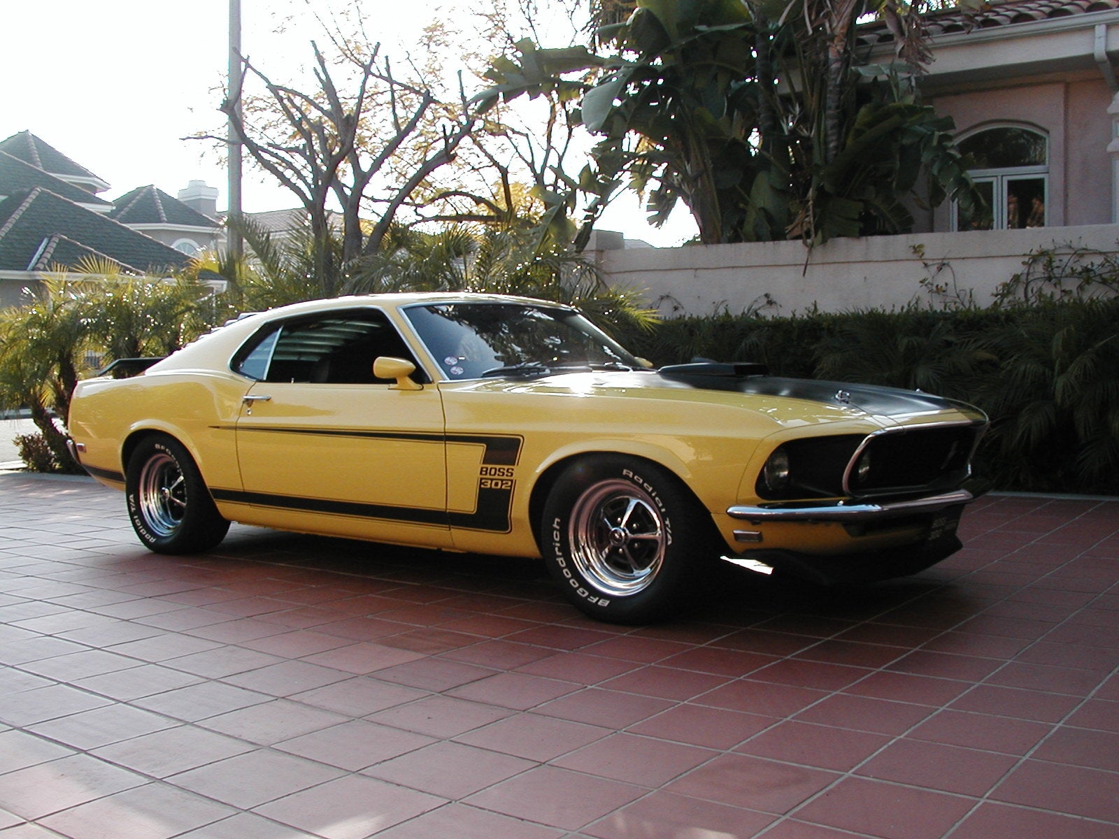 1969_ford_mustang_boss_302-pic-50967.jpe