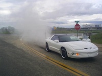 Firebird Firebird
