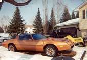 Trans Am Trans Am