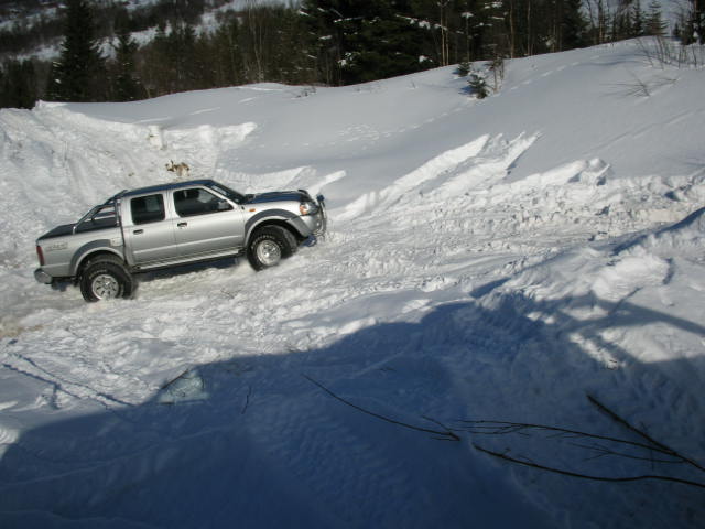 2005 Nissan Navara. 2005 Nissan Navara - Pictures