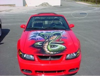 Mustang SVT Cobra Mustang SVT Cobra