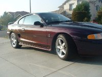 Mustang SVT Cobra Mustang SVT Cobra