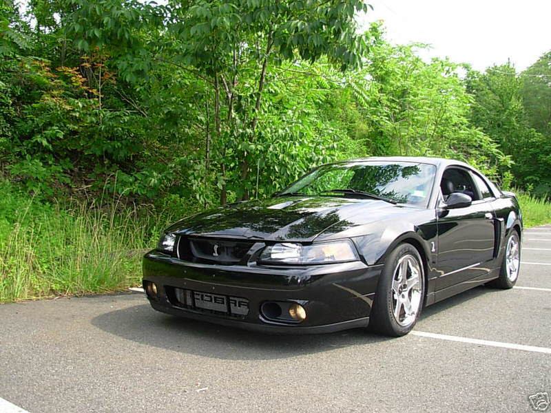 2004 Ford Mustang SVT Cobra 2 2004 Ford Mustang Svt Cobra. 2004 Ford Mustang SVT Cobra 2