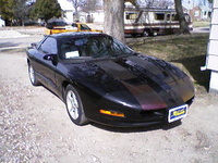 Firebird Firebird
