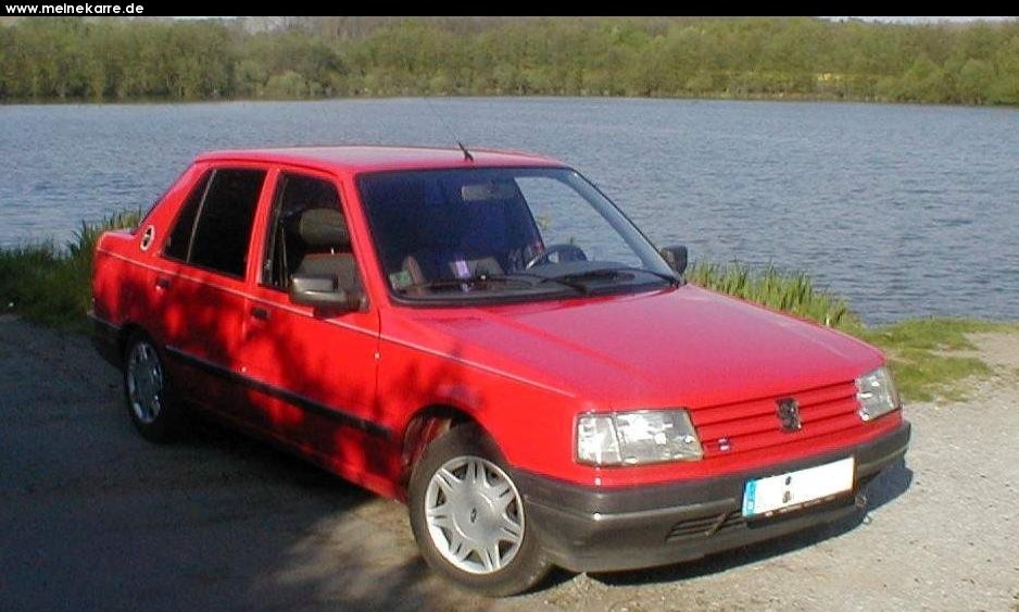 1995 Peugeot 309 picture exterior