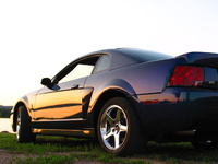 Mustang SVT Cobra Mustang SVT Cobra