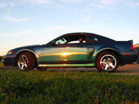 Mustang SVT Cobra Mustang SVT Cobra