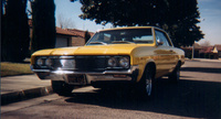 Skylark Skylark