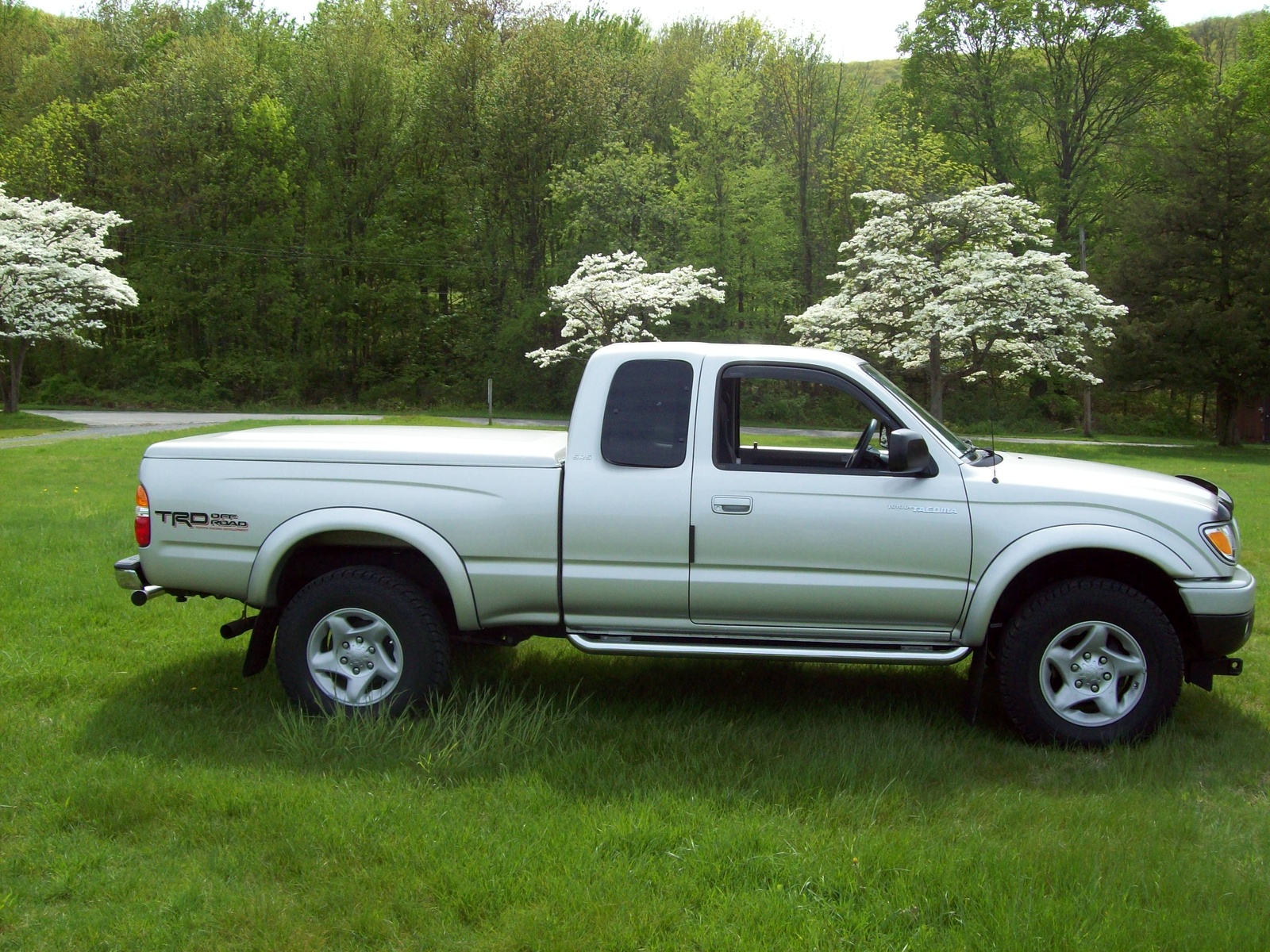 toyota tacoma 2002 pictures #2