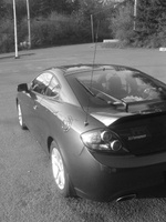 Tiburon Tiburon