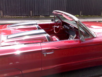 Thunderbird Thunderbird