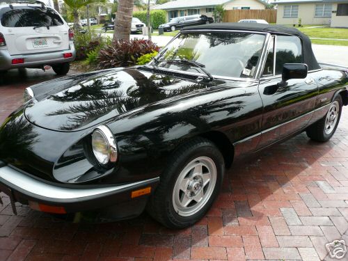 1983 Alfa Romeo Spider. 1986 Alfa Romeo Spider picture