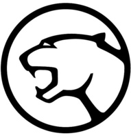 Cougar Cougar