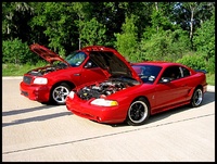 Mustang SVT Cobra Mustang SVT Cobra